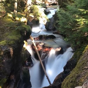 Meet your Posher, Aly